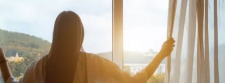 Window film singapore