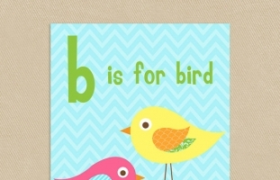 B is for Bird Wall Art