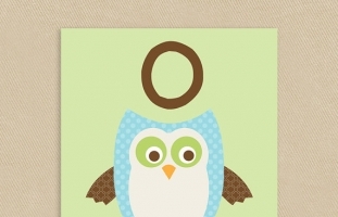 O is for Owl Wall Art