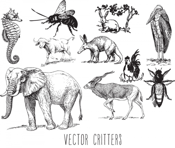 Download Vector Critters 
