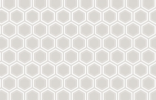 Grey Hexagon