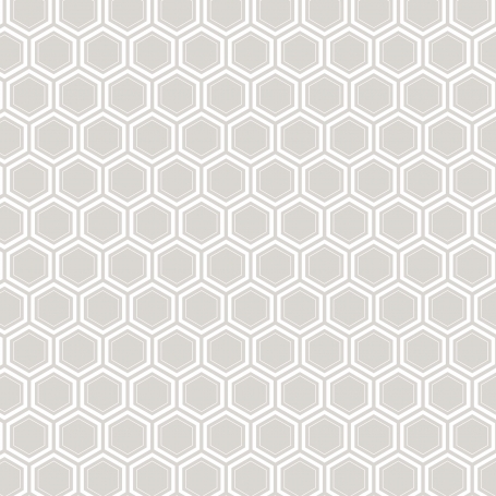 Grey Hexagon
