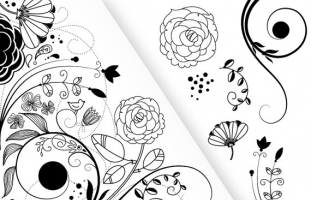Floral Designs and Border