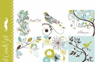 9 Floral and Bird Cards