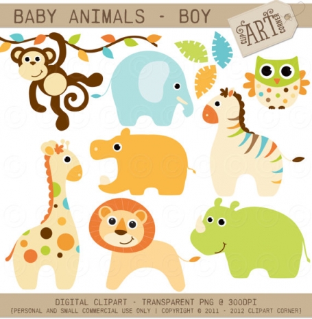Baby Animals Boy
