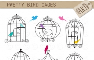 Bird Cages