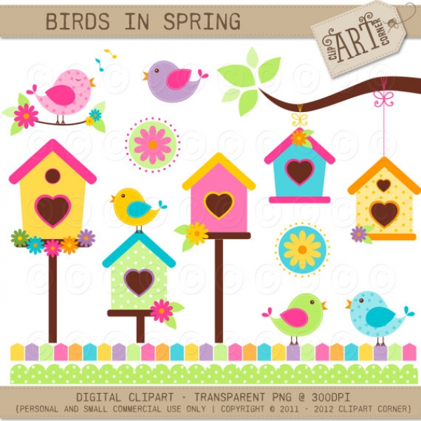 Download Birds in Spring 