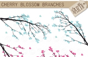 Cherry Blossom Branches 