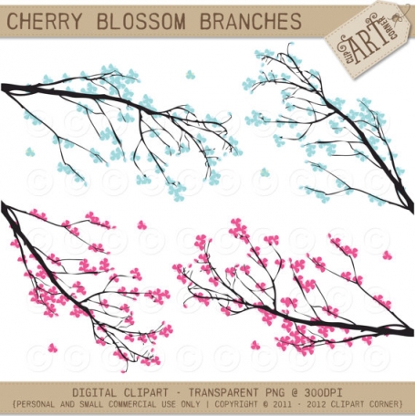 Cherry Blossom Branches 