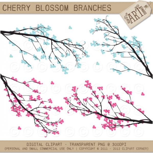 Download Cherry Blossom Branches  