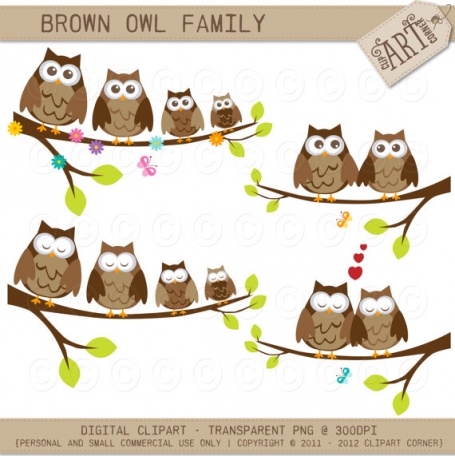 Owl Family 