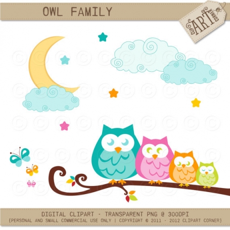 Owl Family on a branch
