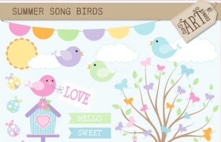 Summer Song Birds 