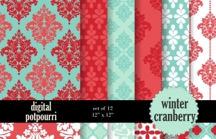 Winter cranberry Digital Papers 