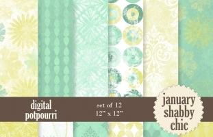 Janary shabby chic Digital Papers