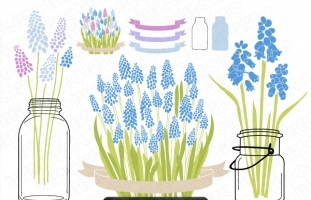 Muscari Mason Jar Vector Clip Art 