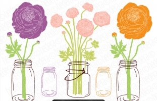 Mason Jar Ranunculus Invitation