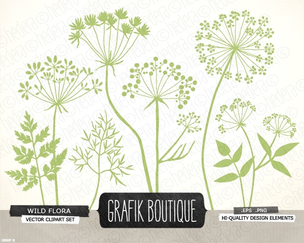 Download 7 Wild Flora Herb Flower Vector Clip Art  