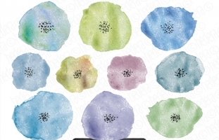 10 Hand Painted Watercolor Flowers