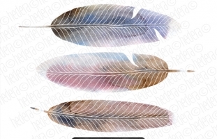 Hand Painted Watercolor Feathers