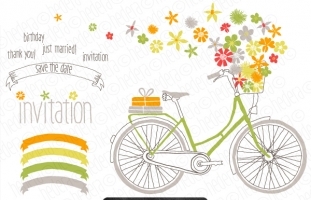 Bright Bicycle Flower Basket