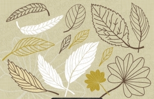 Brown White Leaves Silhouette