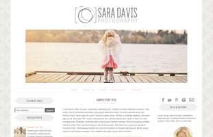 Sara Davis Blogger Template II