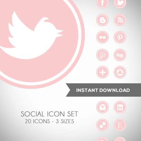 Round Pink Social Media Icons