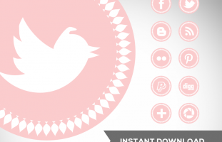 Spike Pink Social Media Icons