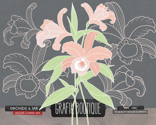 Download Orchids mason jar digital vector clip art, wedding 