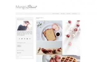 Mango Street - Wordpress Theme