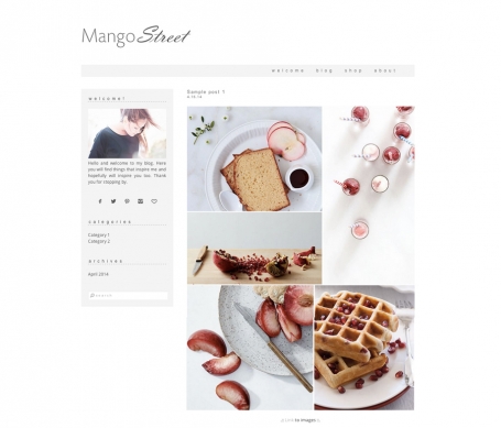 Mango Street - Wordpress Theme