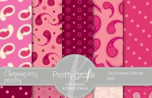 paisley digital paper  (commercial