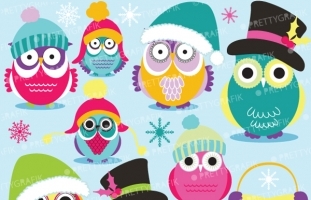 Christmas Owls clipart 