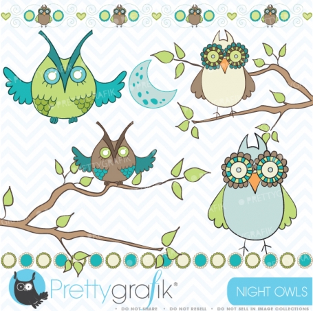 Owl clipart (commercial use,