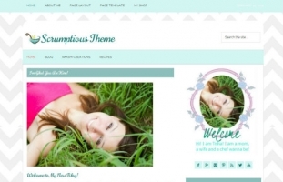 WordPress Premade Blog Theme: