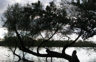 Serenity On The River