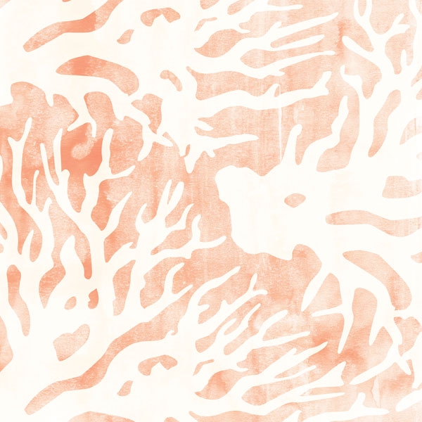 Download Coral & Feather Watercolor Textured Digital Pa 