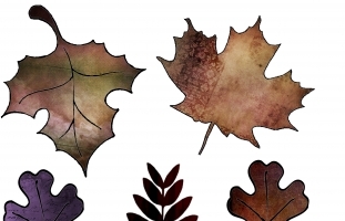 Fall Leaves (1) Clipart