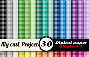 Gingham Tone on tone - Digital