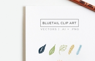 Bluetail Hand Drawn Clip Art