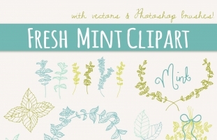 Fresh Mint Sprigs Clip Art