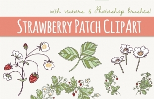 Strawberry Patch Clip Art
