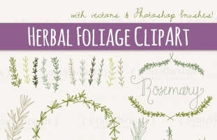 Rosemary Sprigs Clip Art