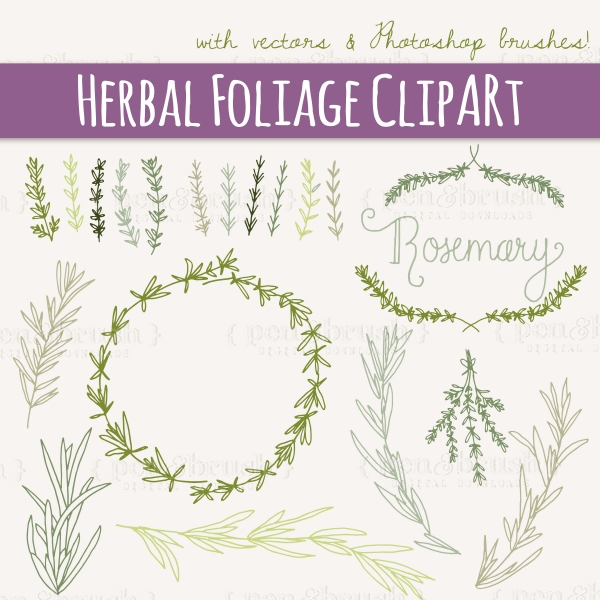 Download Rosemary Sprigs Clip Art 