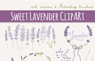 Lavender Clip Art