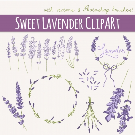 Lavender Clip Art