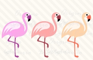 Pink Flamingos Clipart Vectors