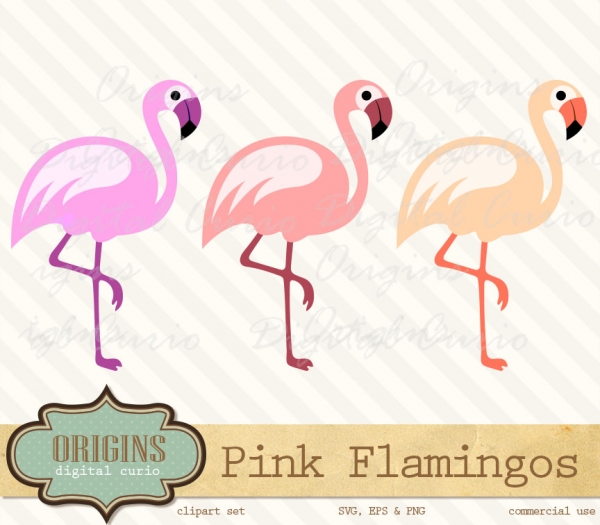 Download Pink Flamingos Clipart Vectors 