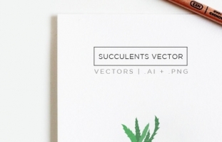 Succulents Illustration & Clip